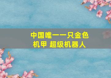 中国唯一一只金色机甲 超级机器人